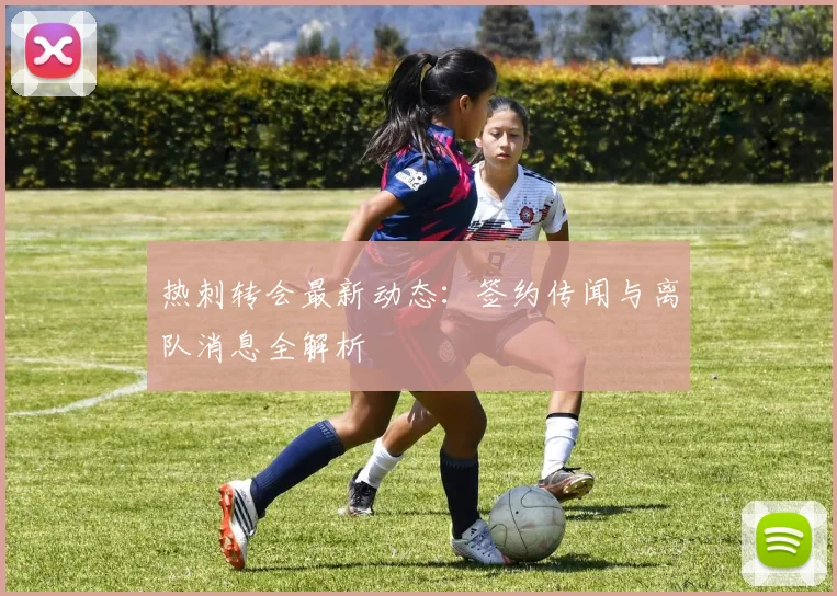 热刺转会最新动态：签约传闻与离队消息全解析